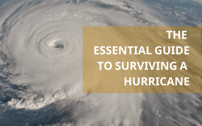 The Essential Hurricane Preparedness Guide for Orlando, FL